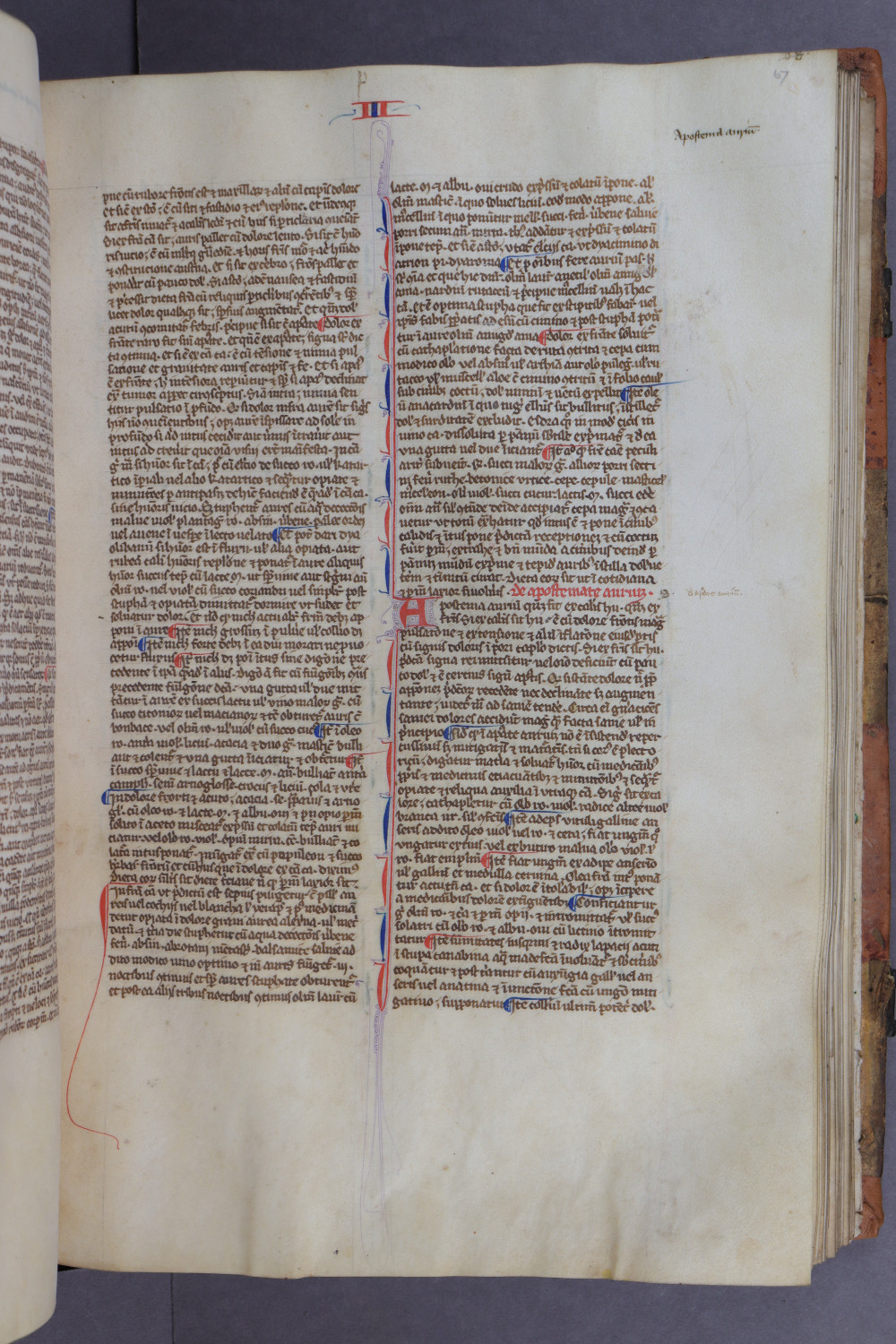 Folio 67 recto
